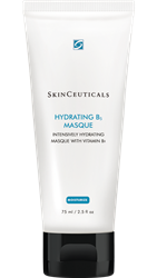 SkinCeuticals Hydrating B5 Masque